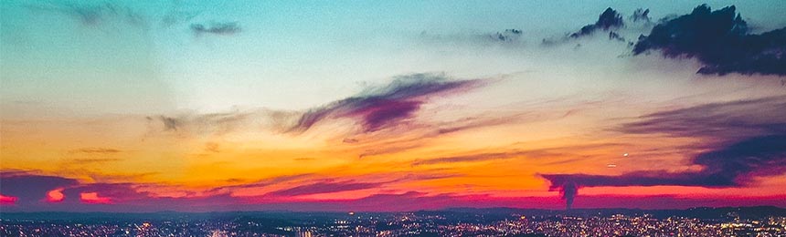 九江茶虫网_九江品茶